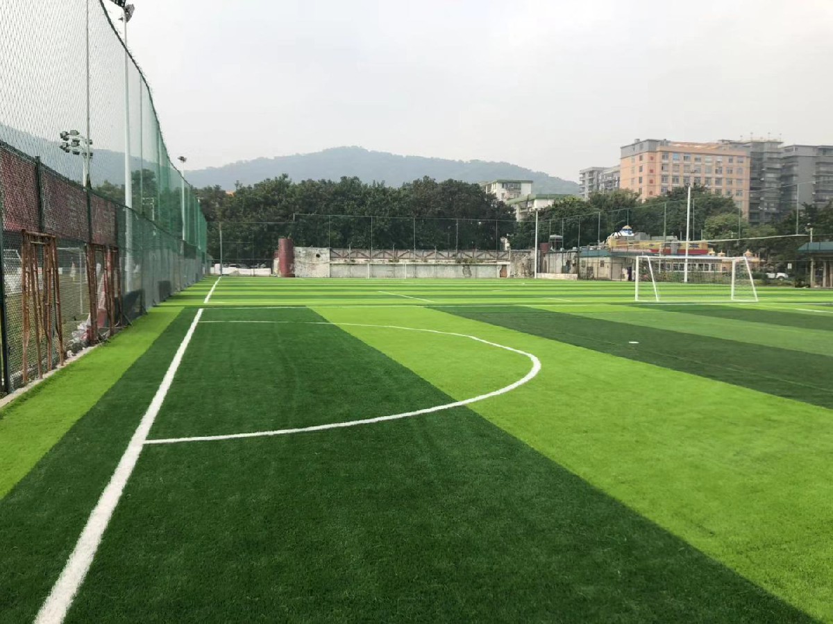 廣藥集團(tuán)王老吉足球場地