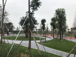 廣外足球場地