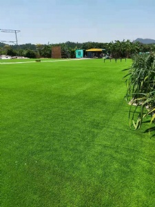 珠海市香洲區(qū)“惹味燒烤場”休閑草場地安裝鋪設(shè)